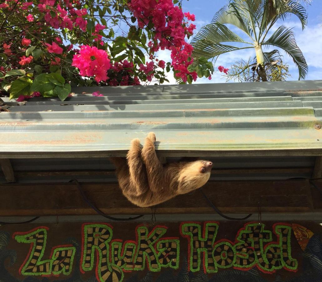 La Ruka Hostel Puerto Viejo de Talamanca ภายนอก รูปภาพ