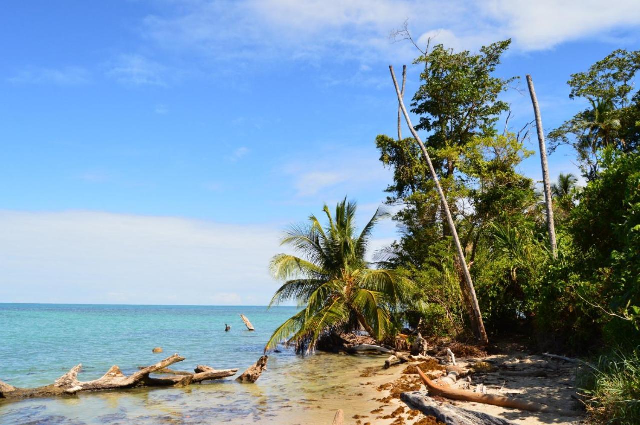 La Ruka Hostel Puerto Viejo de Talamanca ภายนอก รูปภาพ