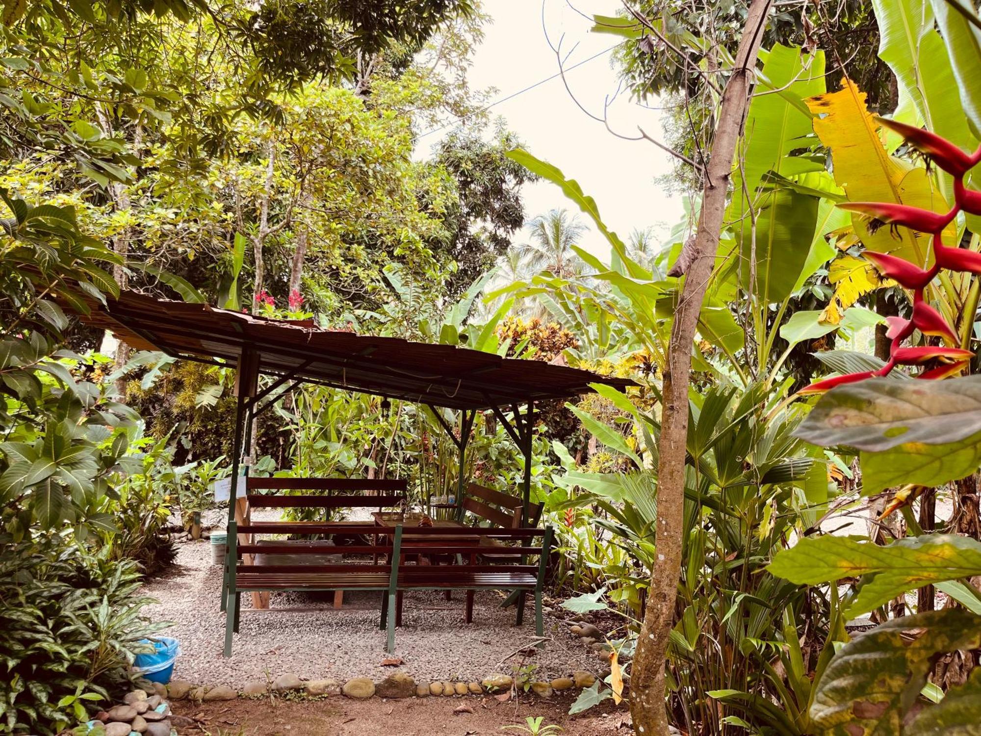 La Ruka Hostel Puerto Viejo de Talamanca ภายนอก รูปภาพ