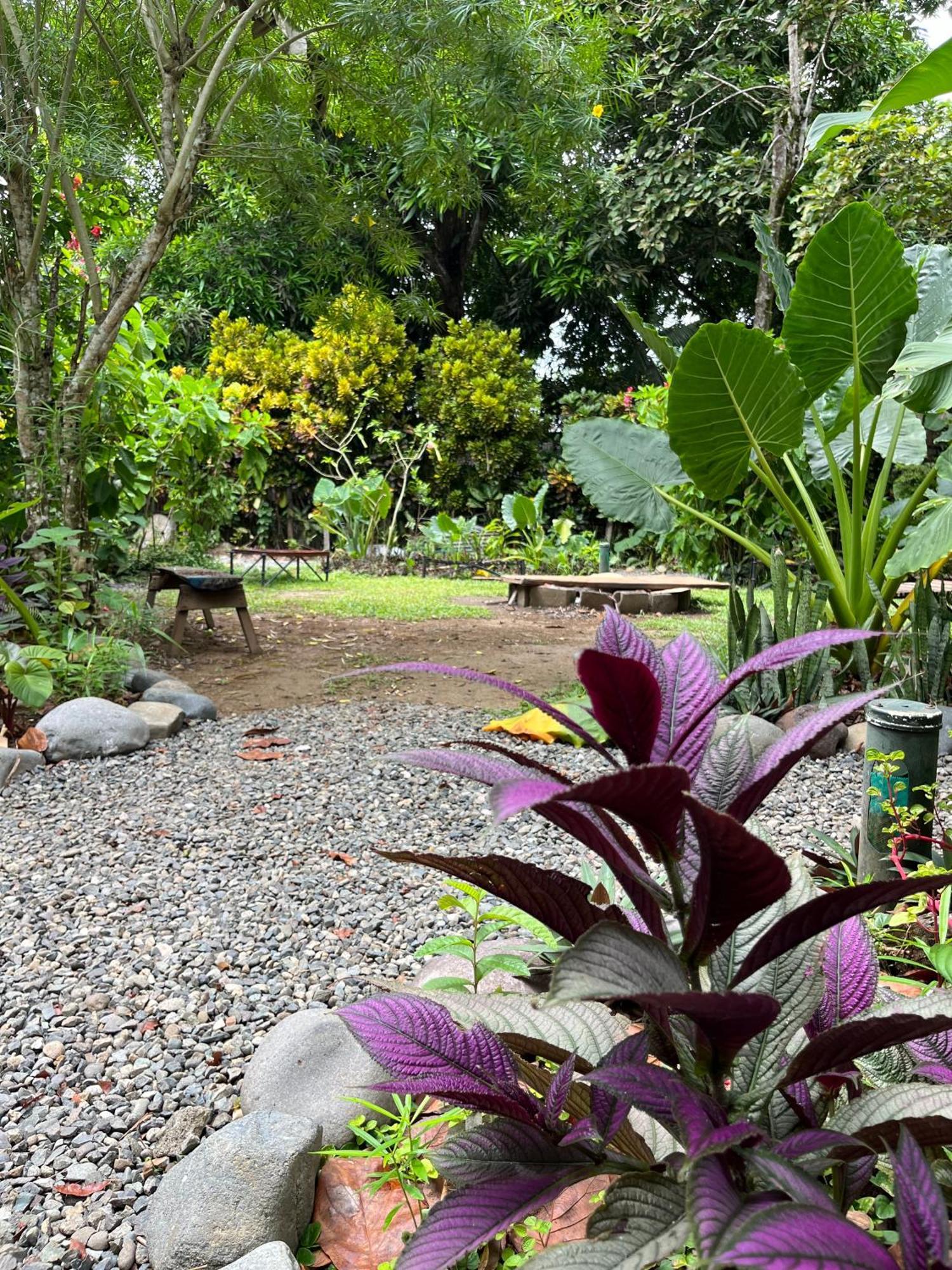 La Ruka Hostel Puerto Viejo de Talamanca ภายนอก รูปภาพ