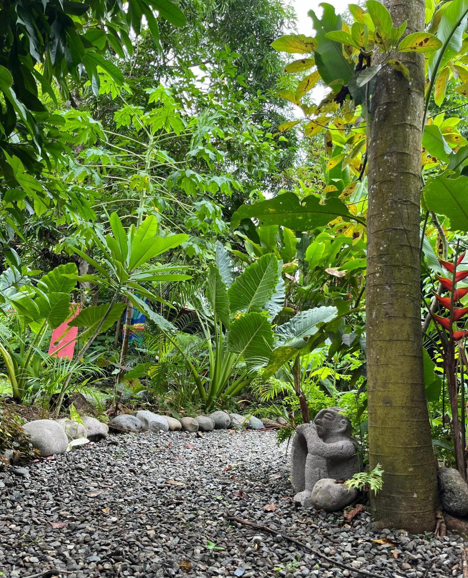 La Ruka Hostel Puerto Viejo de Talamanca ภายนอก รูปภาพ