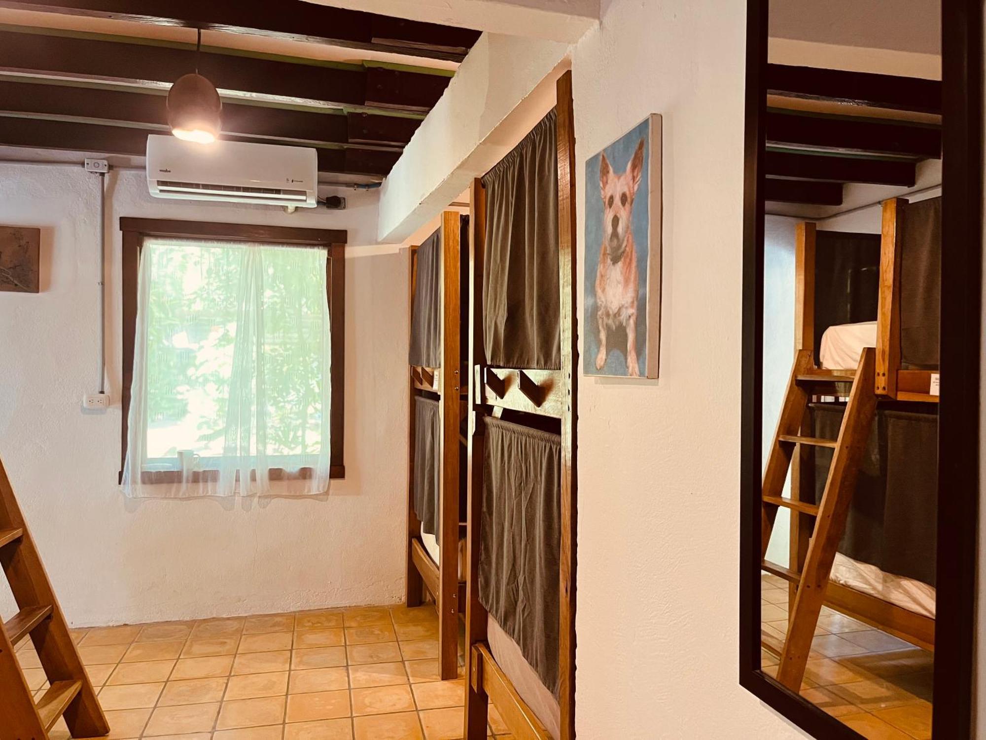 La Ruka Hostel Puerto Viejo de Talamanca ภายนอก รูปภาพ