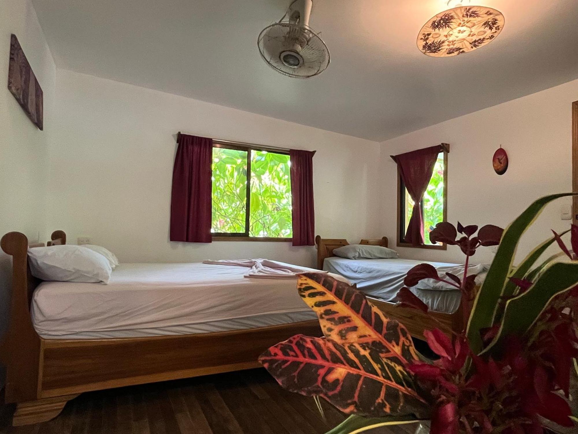 La Ruka Hostel Puerto Viejo de Talamanca ภายนอก รูปภาพ