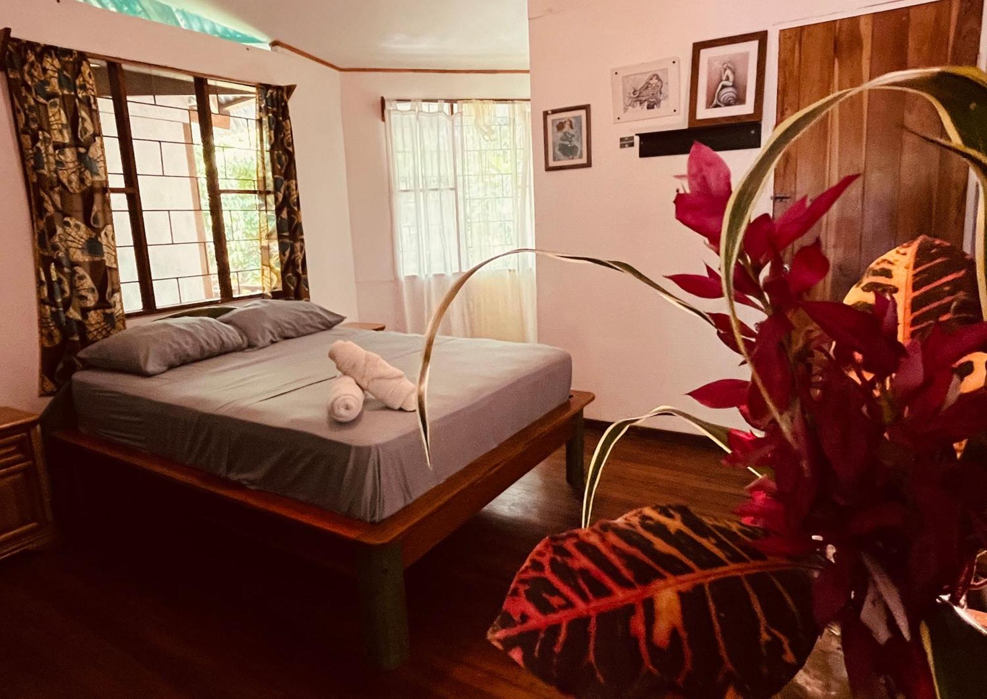 La Ruka Hostel Puerto Viejo de Talamanca ภายนอก รูปภาพ