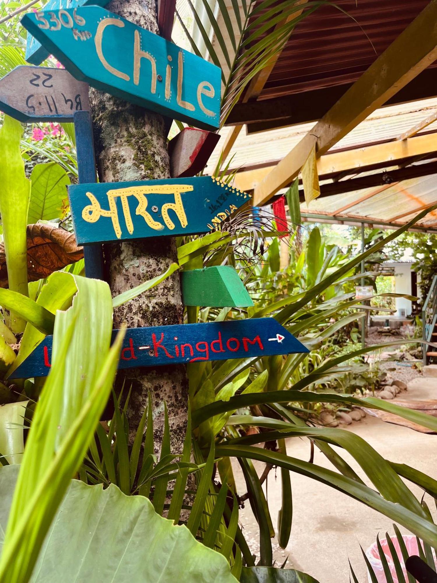 La Ruka Hostel Puerto Viejo de Talamanca ภายนอก รูปภาพ